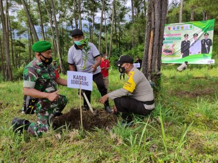 Gerakan Seratus Ribu Pohon